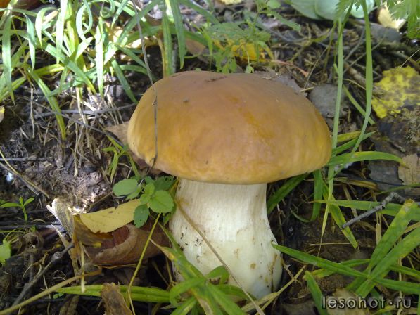 270920111281.jpg