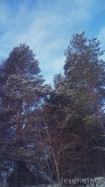 photo_00202.jpg
