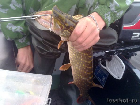 090720111030.jpg