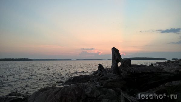 photo_00179.jpg