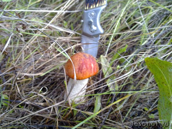 190920111277.jpg