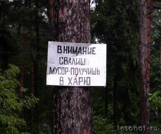 getImageCA68IFYV.jpg