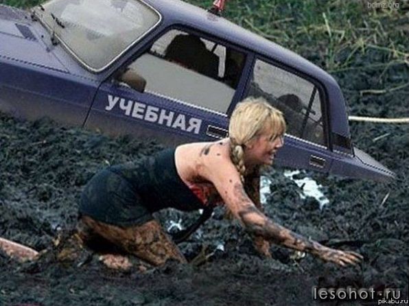 .jpg