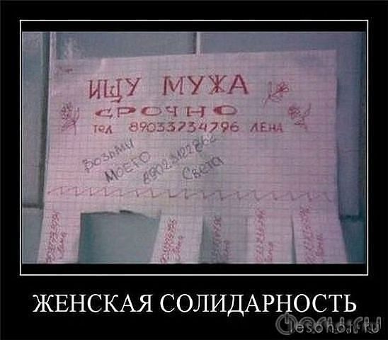 getImageCAKDLH4M.jpg