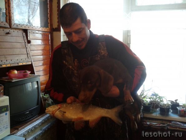 2012-02-12 13.11.25.jpg