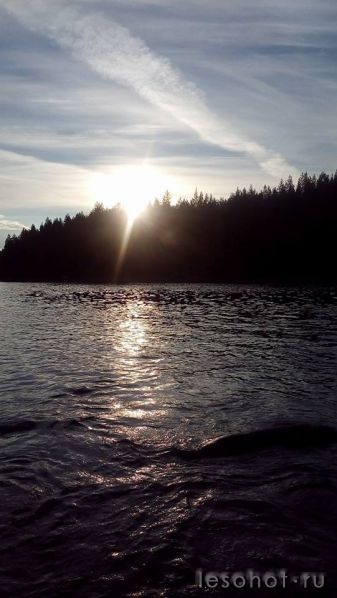 photo_00176.jpg