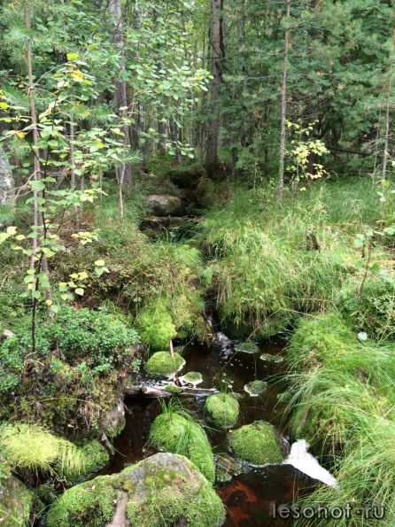photo_00274.jpg