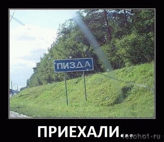 .jpg