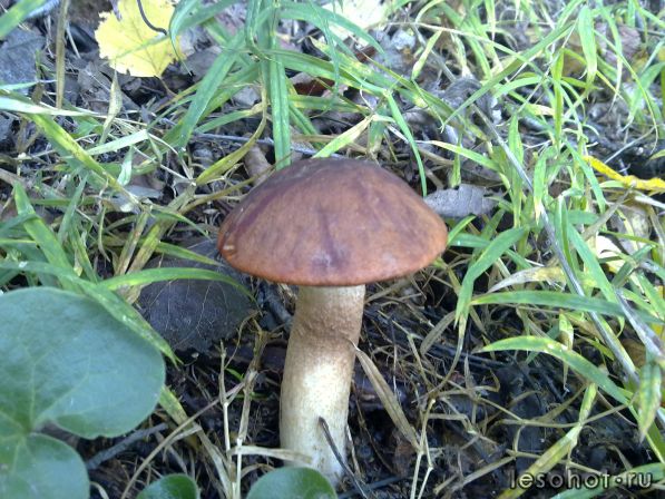 270920111280.jpg