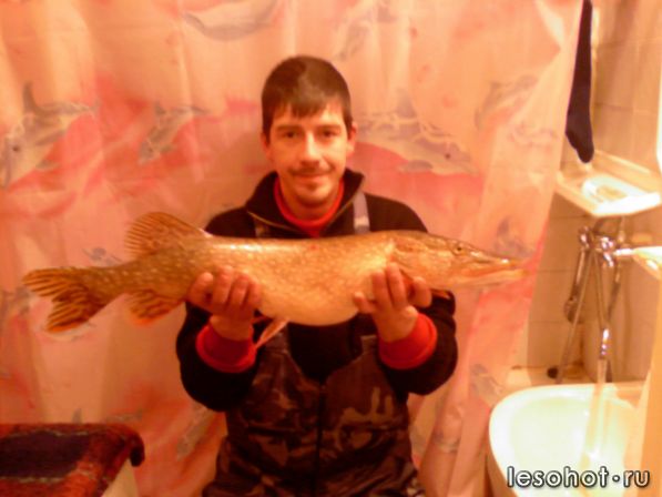 Photo-0013 3450..jpg