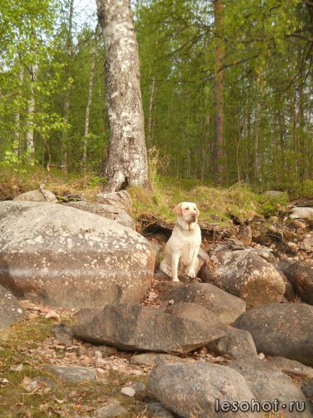 photo_00150.jpg