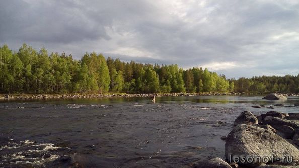 photo_00175.jpg