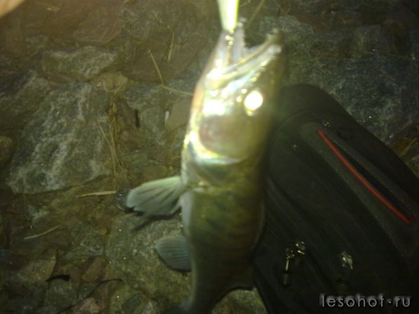 200720111049.jpg