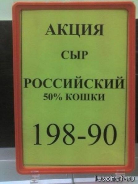 .jpg
