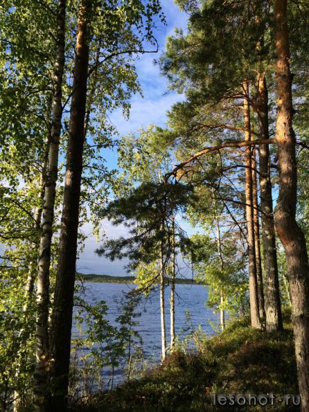 photo_00278.jpg