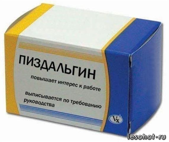 .jpg
