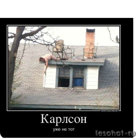 .jpg