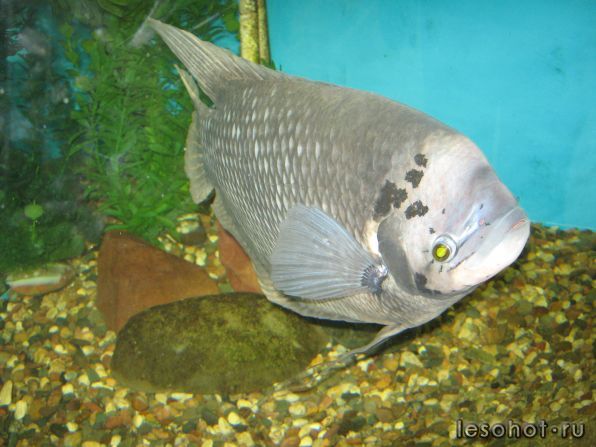 IMG_0142.jpg