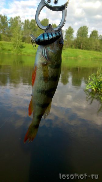 DSC_0103.JPG
