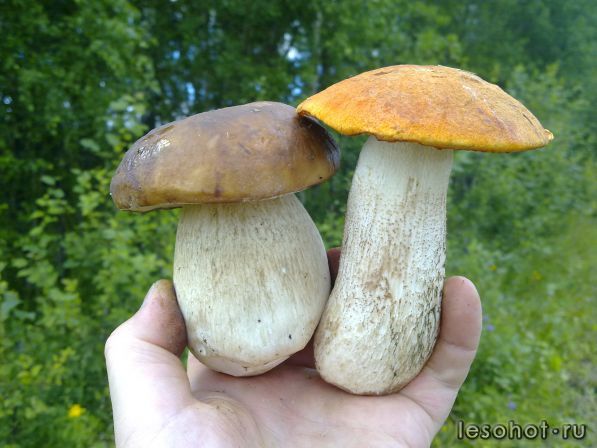 230720152521.jpg