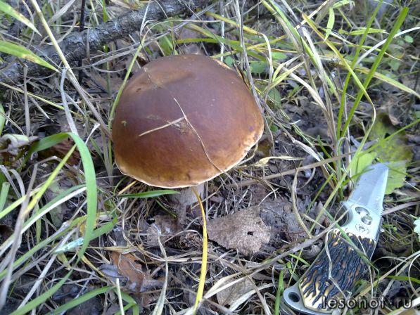 270920111286.jpg