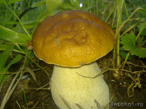 130720152505.jpg