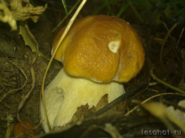 130720152504.jpg