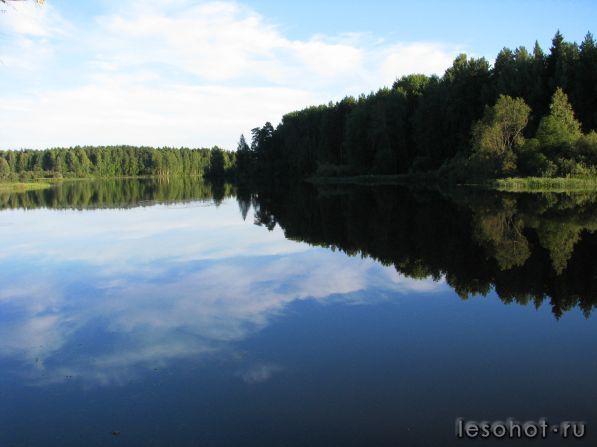 IMG_2252.jpg