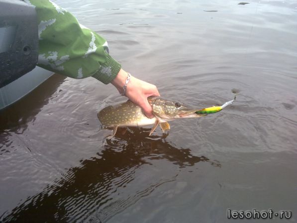 090720111026.jpg