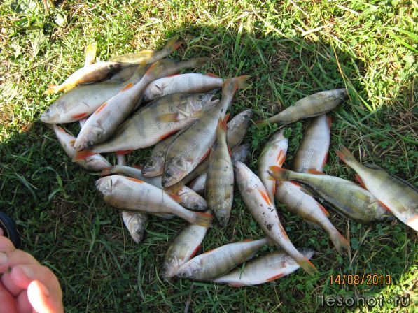 IMG_0993.JPG