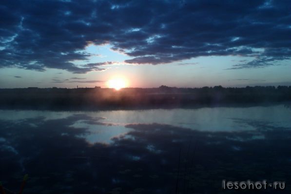 IMAG0116.jpg