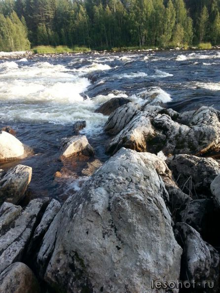 photo_00186.jpg