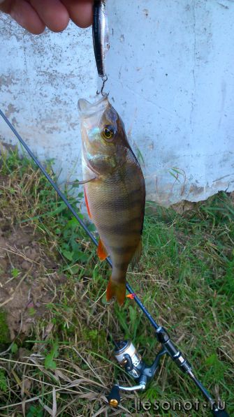 DSC_0005.JPG