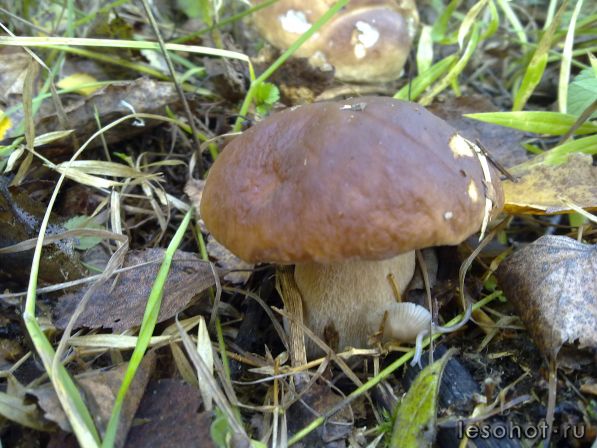 270920111294.jpg