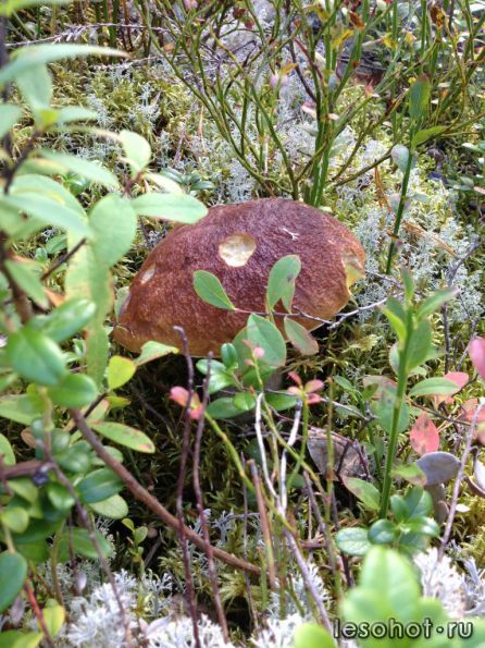 photo_00286.jpg