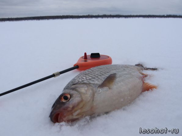  26.02.2016.JPG