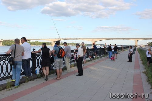   2013.jpg