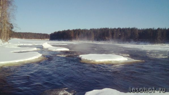 photo_00206.jpg