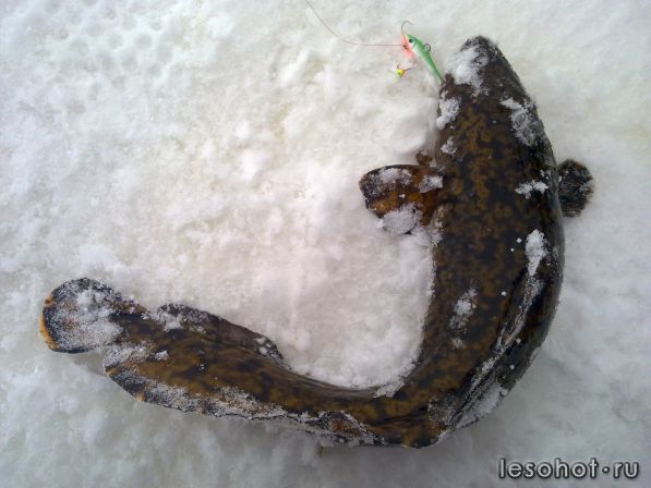  27.12.2012.jpg
