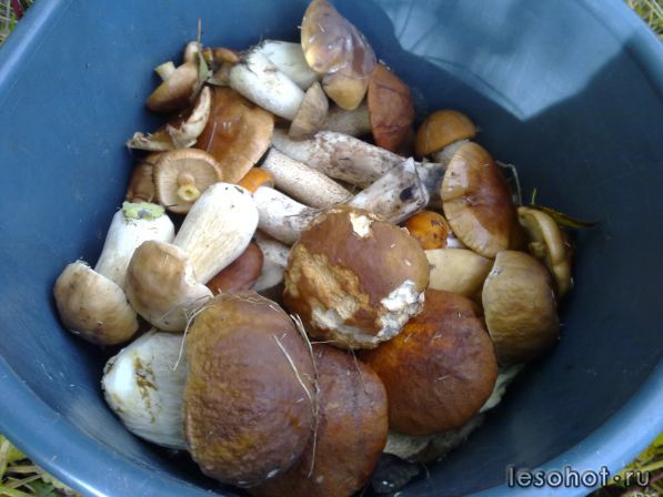 270920111292.jpg