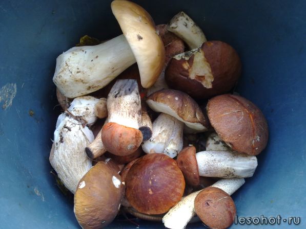 270920111283.jpg