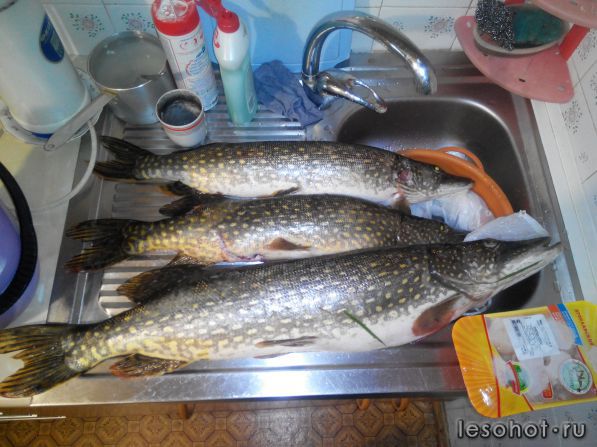 2014628091053.jpg