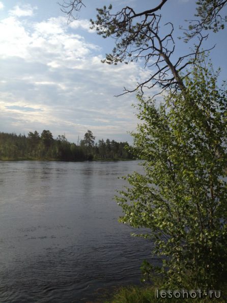 photo_00262.jpg