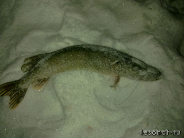 06012010489.jpg