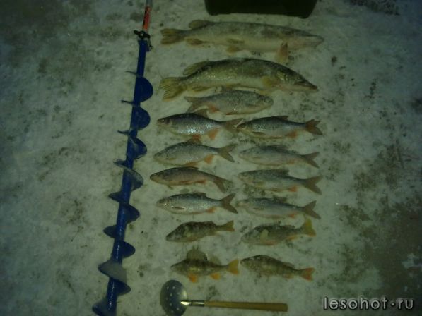 130120142132.jpg