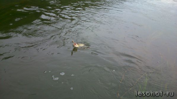 DSC_0006.JPG