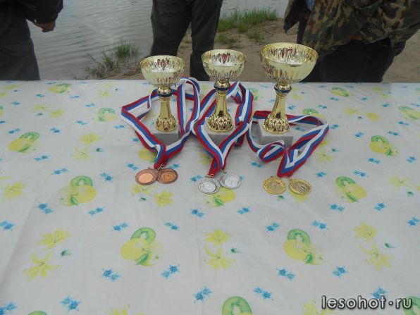 DSCN3465.JPG