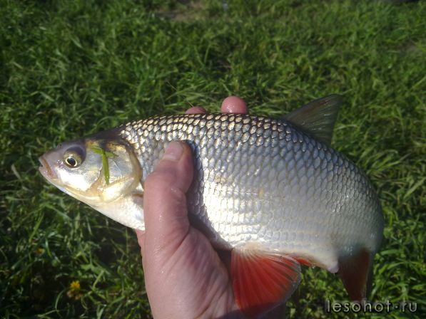 260520111008.jpg