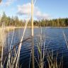 photo_00260.jpg