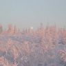 photo_00334.jpg
